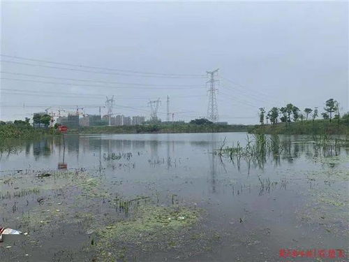 官莲湖钓友车胎被扎警方连夜破案,水产公司呼吁请勿垂钓