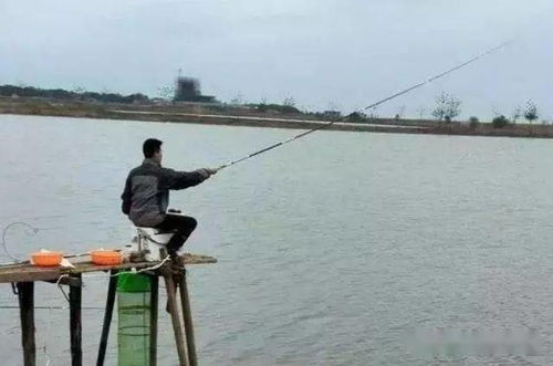 请做好心理准备 这鲫鱼钓法百试不爽,莫不服,我一个星期用三次