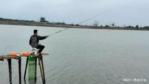 早起的钓友有鱼钓 提前做好 3件事 ,野钓鱼获能翻倍