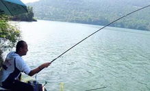 钓鱼10年,才发现原来台钓还有这些弊端