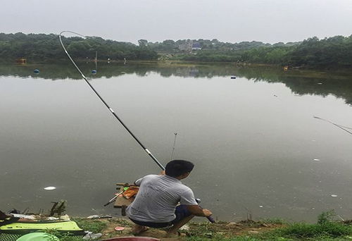 新手钓友只要认准这些垂钓规律,渔获一准少不了