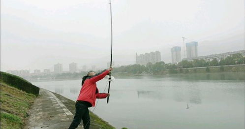 长竿如何精准抛投 只需掌握这四个技巧,竿子再长也能又稳又准