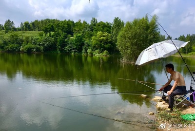水库合作钓鱼合伙人,放养鱼苗你就是主人。这个地方,春赏花|鱼苗|钓鱼 .