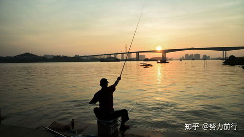 钓鱼方法和技巧的区别,一招教你快速掌握,你学会了吗