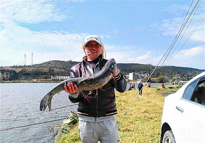 垂钓渔获图片精选 钓友驻守一月终得大青