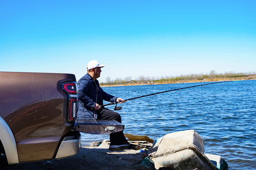 长城皮卡国内市占率近50 ,揽冠亚季军,创新奇迹