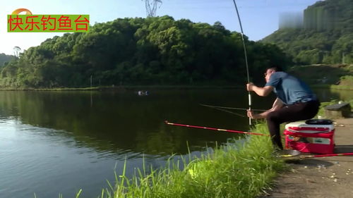 野河边垂钓,鱼竿超级大弯弓,大草鱼连鱼护都装不下 1