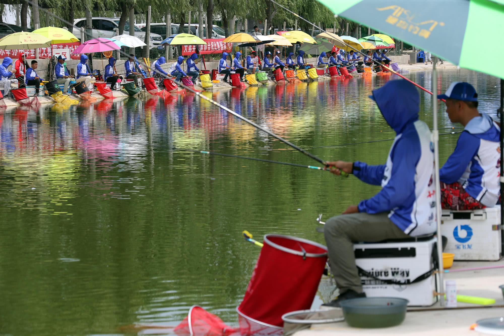 “香港斗渔”杯钓鱼大赛在大荔成功举办 垂钓爱好者齐聚一堂