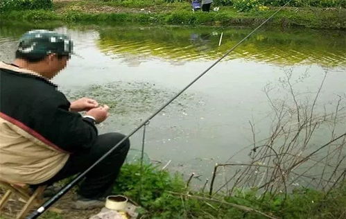 钓鱼易犯的三大误区 新手必读