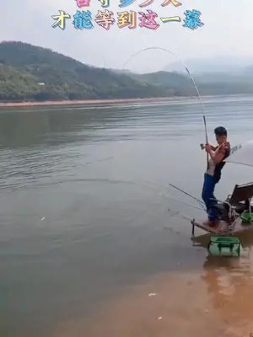 垂钓之乐，唯有钓者知