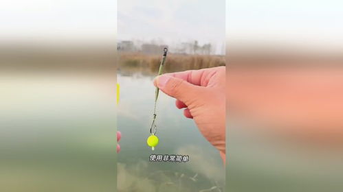 反底钓浮珠 渔具精粹，垂钓生活的艺术