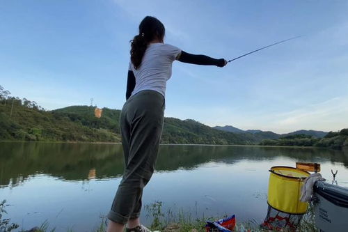 手竿钓鱼的5个抛竿要领 学会抛竿多钓鱼