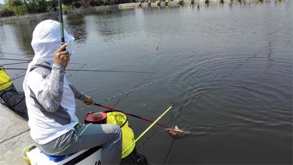 冬季钓鱼调整策略 垂钓技巧与注意事项