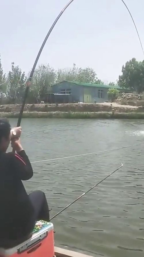 这么多人围观钓鱼