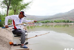 2017渭河金麟杯休闲垂钓大赛在天水武山圆满举行